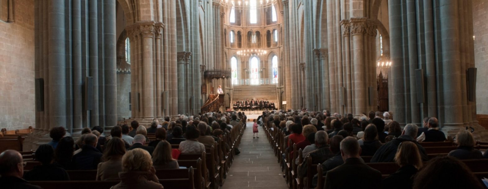 Cathédrale Saint-Pierre à Genève / DR