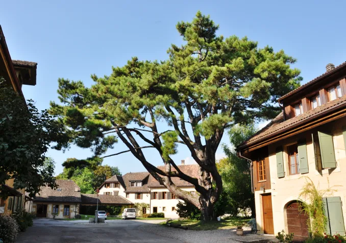 La Communauté de Grandchamp à Areuse ©Alexandra Urfer Jungen