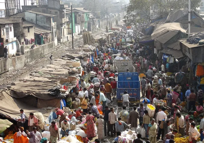 ©Adam Jones, CC BY-SA 2.0, Wikimedia Commons