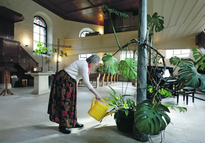 Verdure au temple de Sonvilier ©P. Bohrer