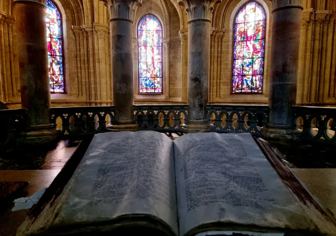 ©iStock/Rafael Wiedenmeier