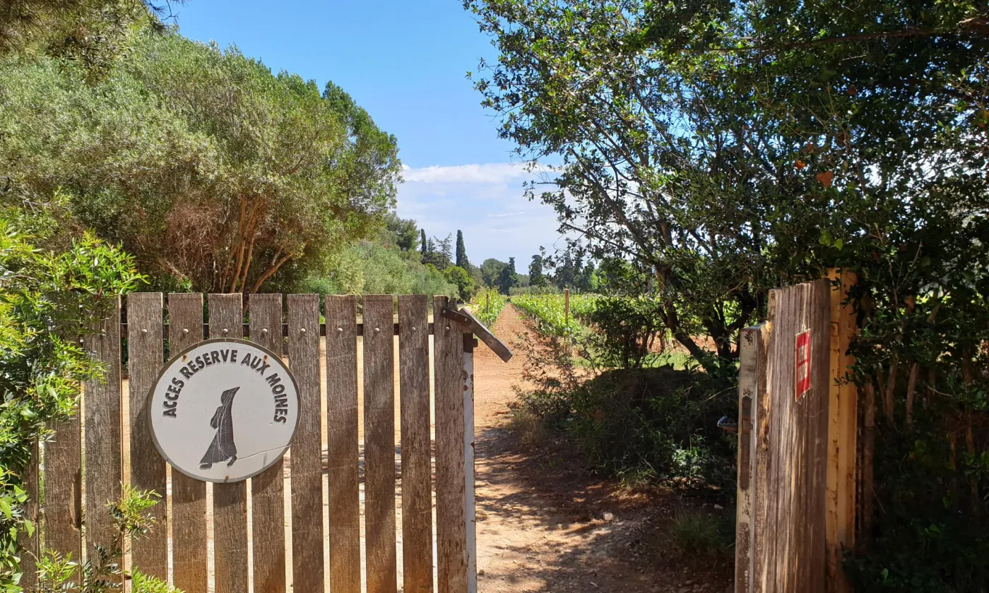 Le jardin du monastère de Lérins ©Matthias Wirz
