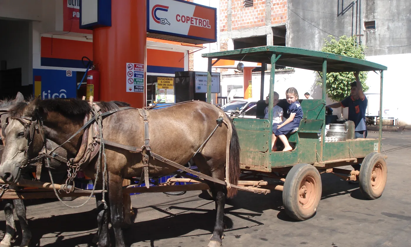 CC Domaine public - Patricia Perez de Viveros - San Ignacio Paraguay _ Légende : des mennonites au Paraguay