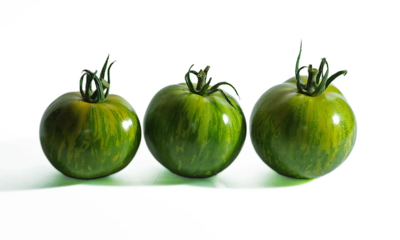 © CC BY-ND / Pil / Flickr Tomates vertes