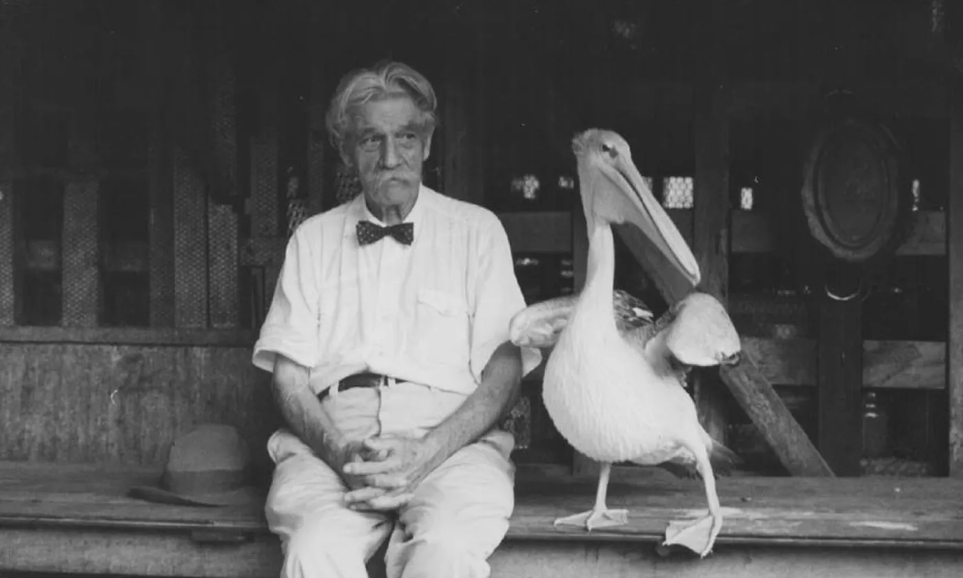 L'être humain fait partie de la création: c'est le grand apport d'Albert Schweitzer, penseur inclassable. Ici avec Parsifal, "son" pélican. © Archives Centrales Albert Schweizer Gunsbach / E. Anderson