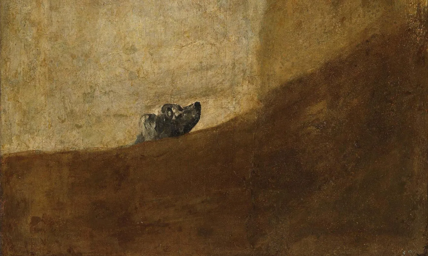 Le chien , peinture réalisée par Francisco de Goya directement sur les murs de sa maison entre 1819 et 1823. Francisco de Goya / Musée Prado