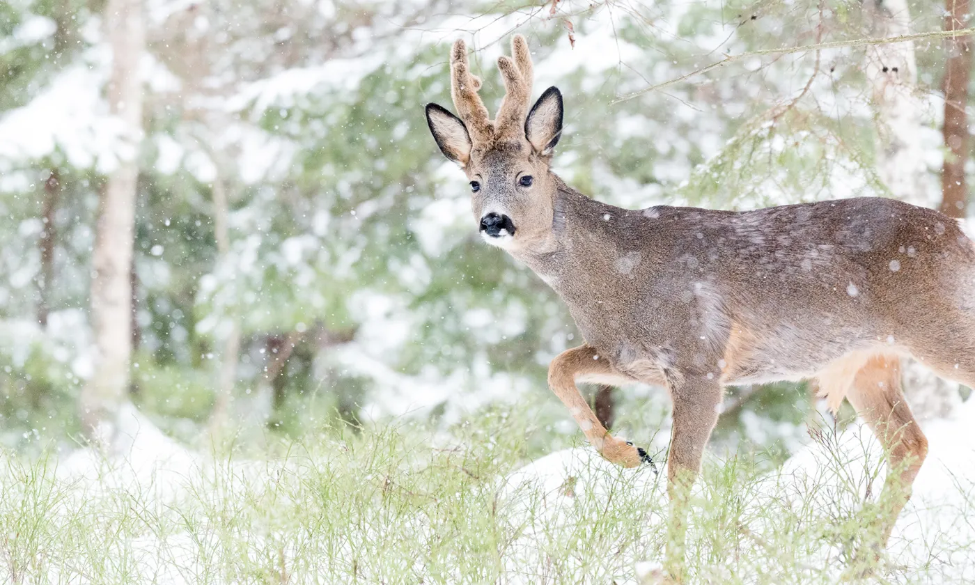 Tirée de l'exposition «And this is good».