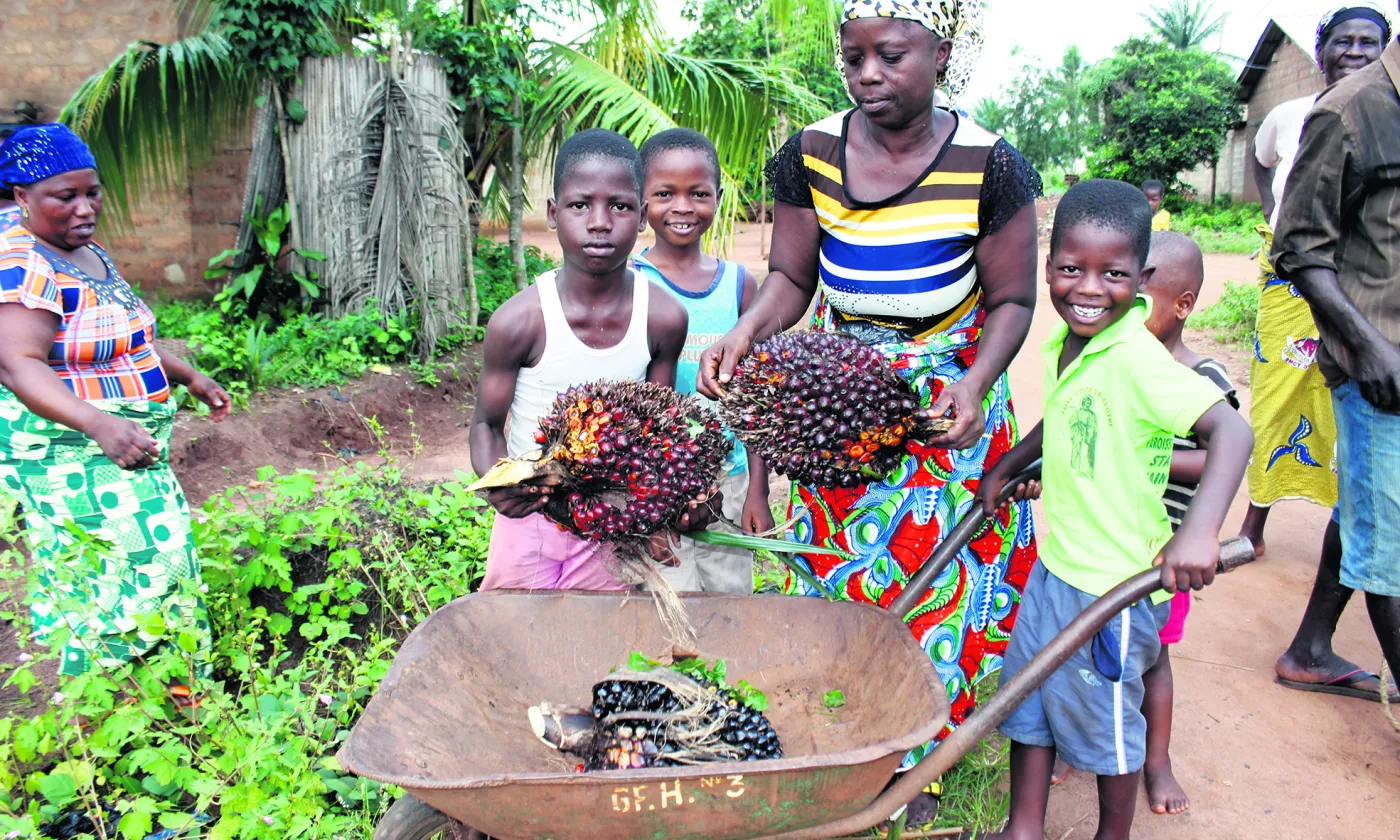 Une famille de cultivateurs en pleine récolte au Bénin © PPP