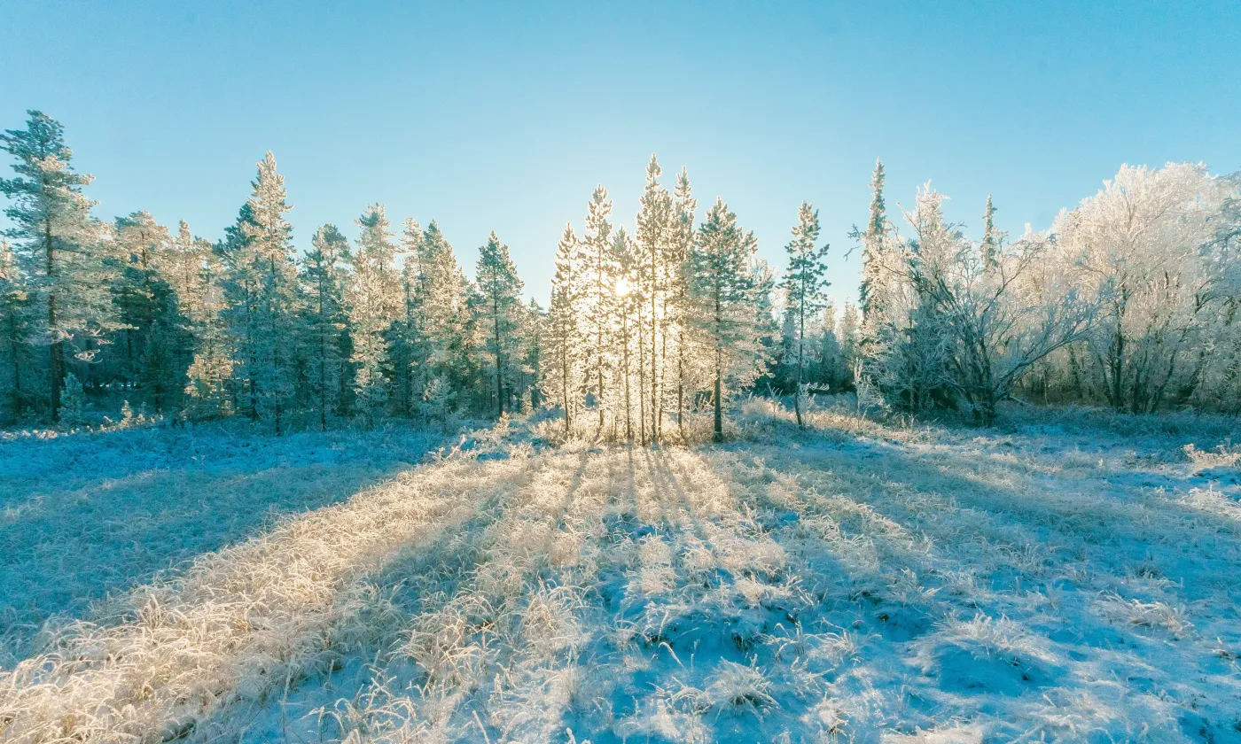 Me laisser gagner de l’intérieur par cette douce lueur. © LDD