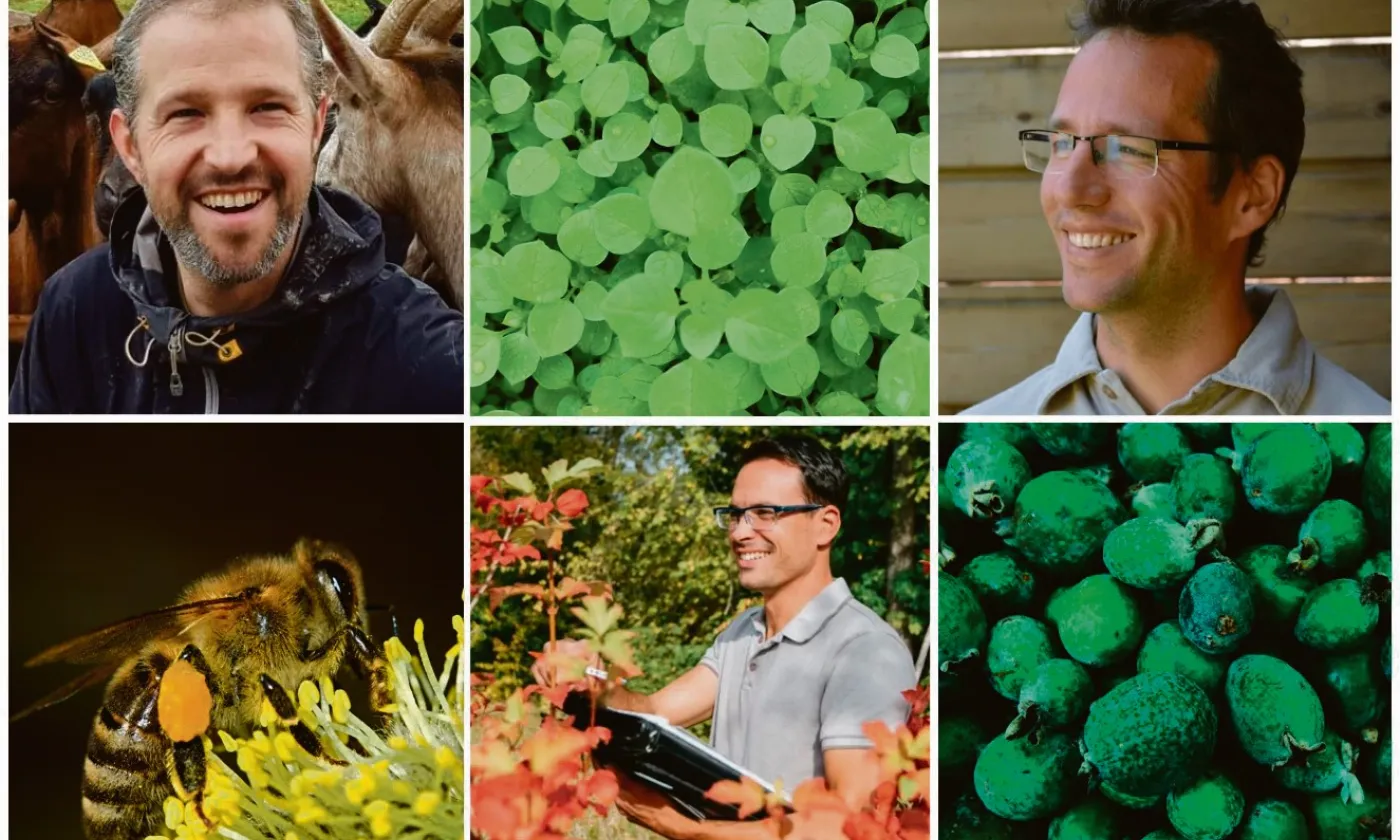 Samuel Dépraz, Gilles Metzener, Yves Loerincik © Association Jardin-Forêt d’Eos