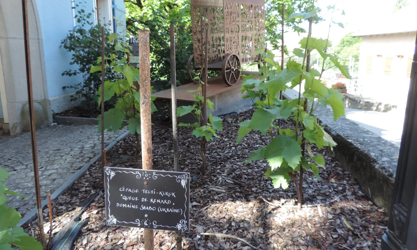 Le monument en souvenir des vignerons du Tsar. ©Eric Bornand