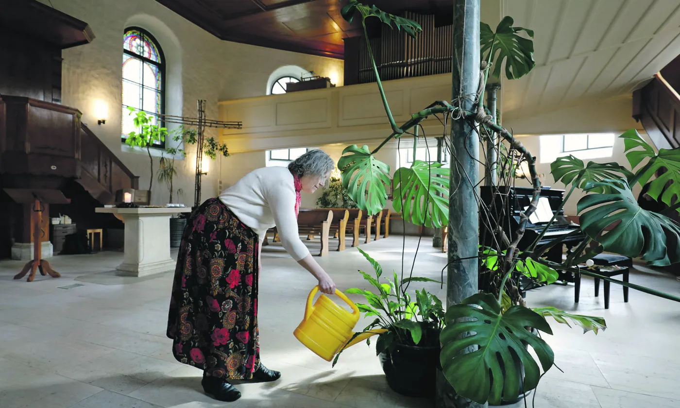 Verdure au temple de Sonvilier ©P. Bohrer