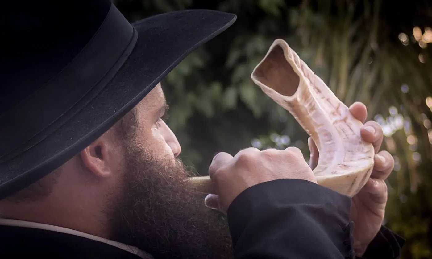 Le shofar, traditionnellement utilisé pour les grandes fêtes juives ©Wikimedia Commons/MinoZig/CC BY-SA 4.0