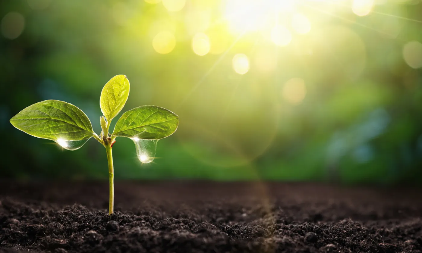 Jeûner, une goutte d’eau si précieuse ©iStock/Baks