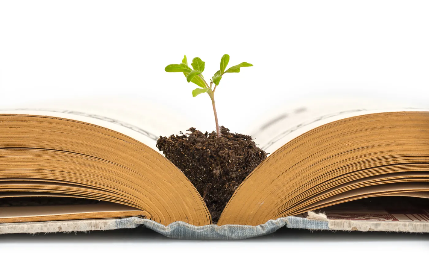 Aux racines spirituelles de la crise écologique ©iStock/Delpixart