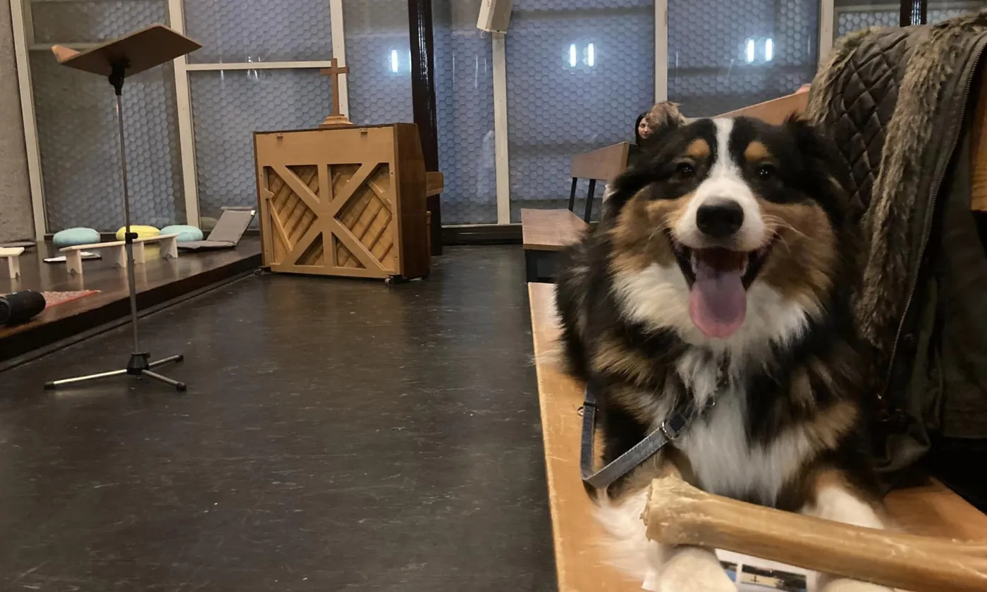 Tahïko, chien diacre et influenceur de la Maison des Solidarités de l'EERV, Jardins Divers DR